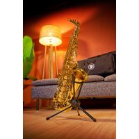 SML Paris Saxophone alto verni 